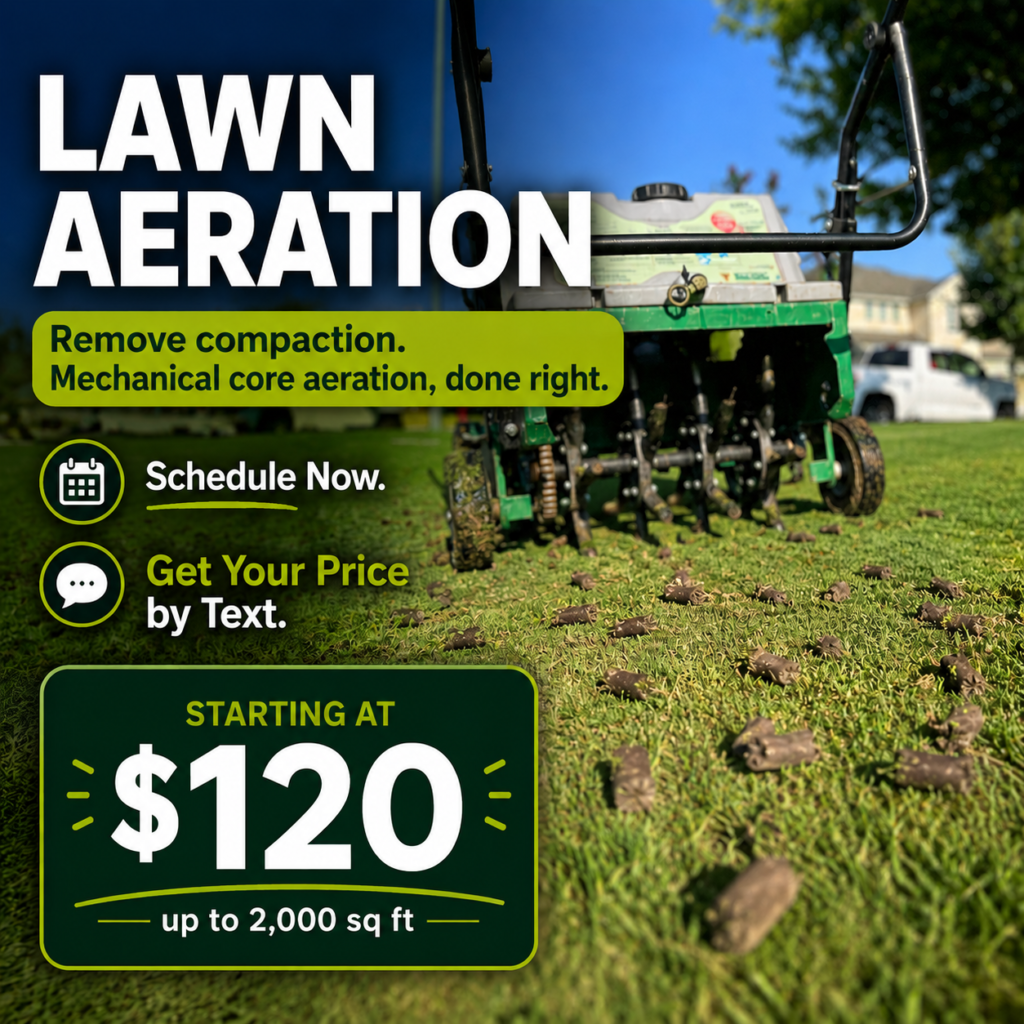 Professional lawn aeration service by Green Lawn Washington